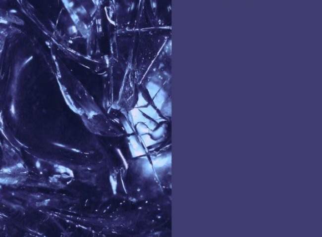 future-dusk-barva-roku-2025-wgsn-coloro