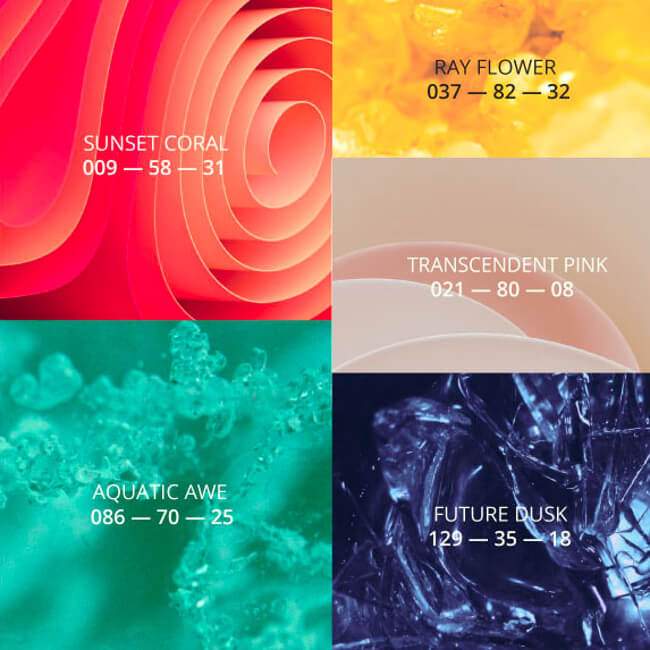 WGSN-barvy--2025